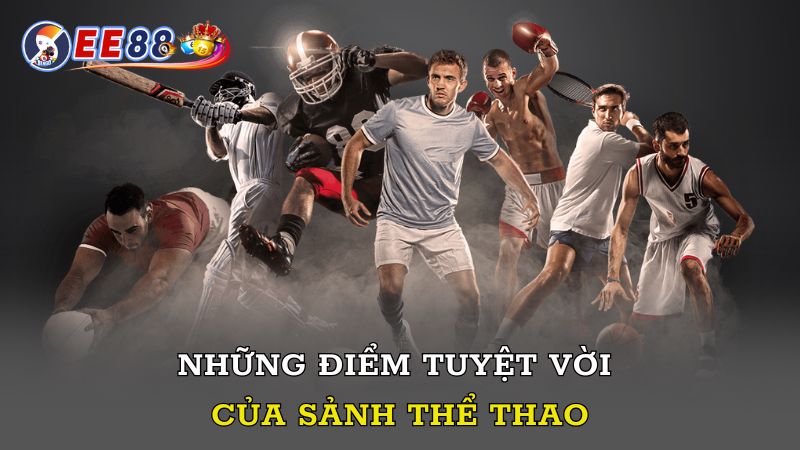 Những điểm tuyệt vời của sảnh thể thao