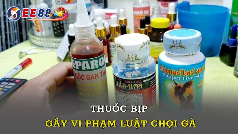 Thuốc bịp gây vi phạm luật chọi gà